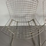 Lot of 4 chairs of Harry Bertoia edited by Knoll