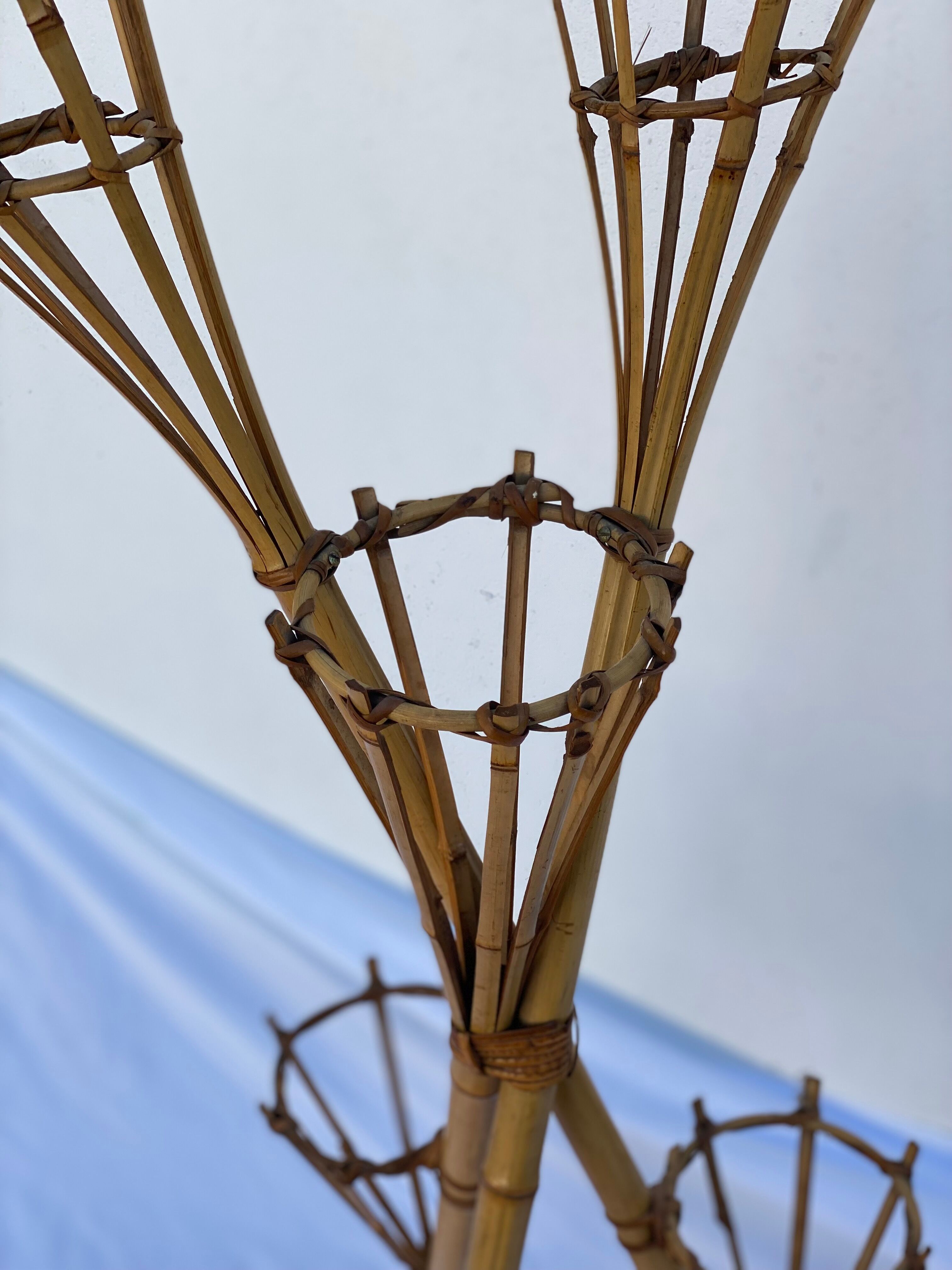 stand de plantes de bambou et de rotin