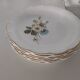 12 Digoin Sarreguemines dinner plates