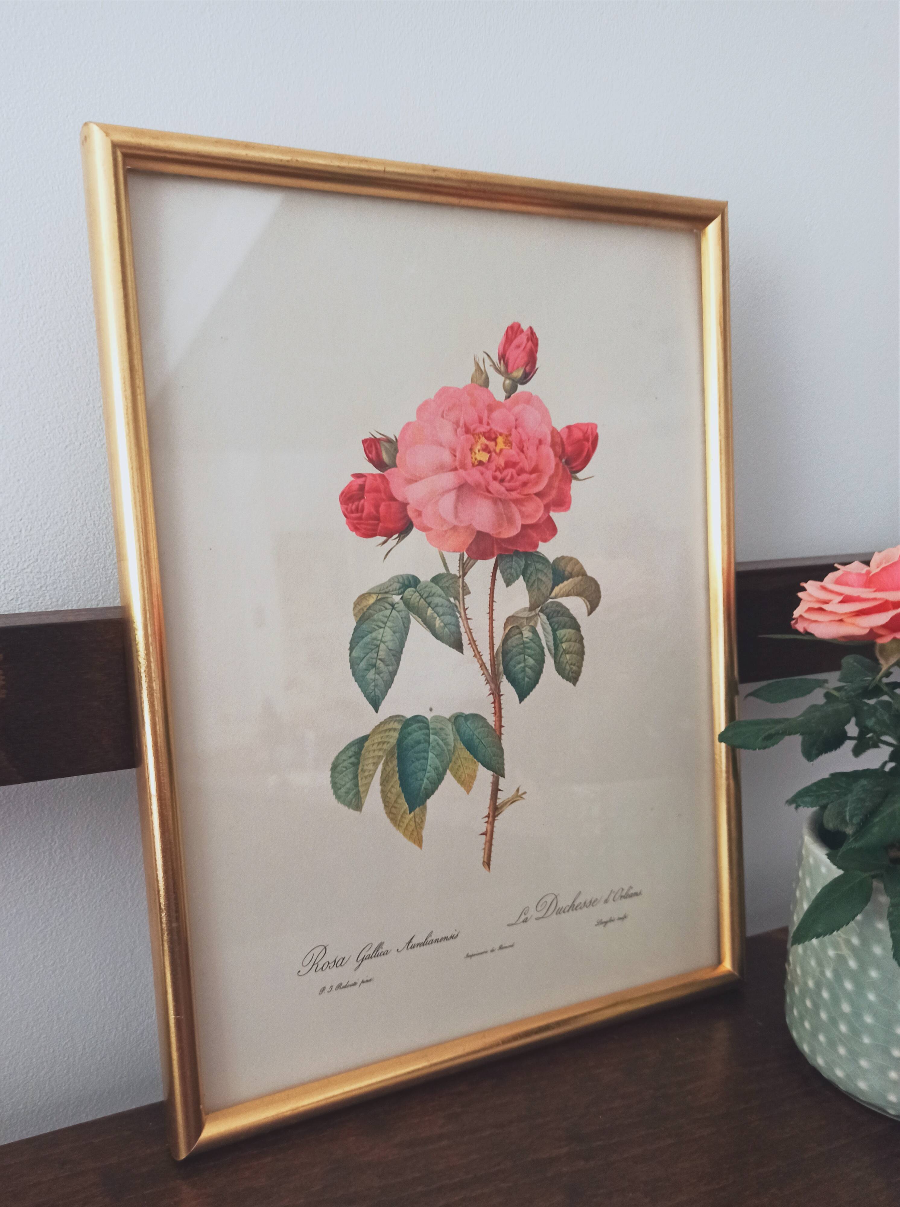 Botanical board Pj Redoute