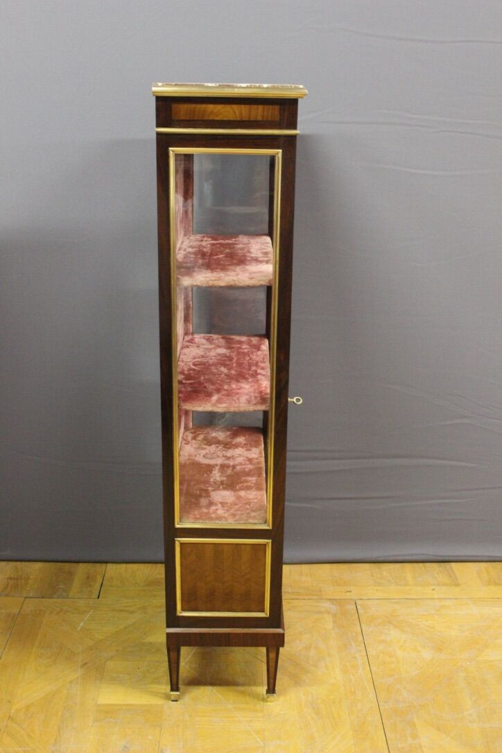 Louis XVI style showcase in marquetrics