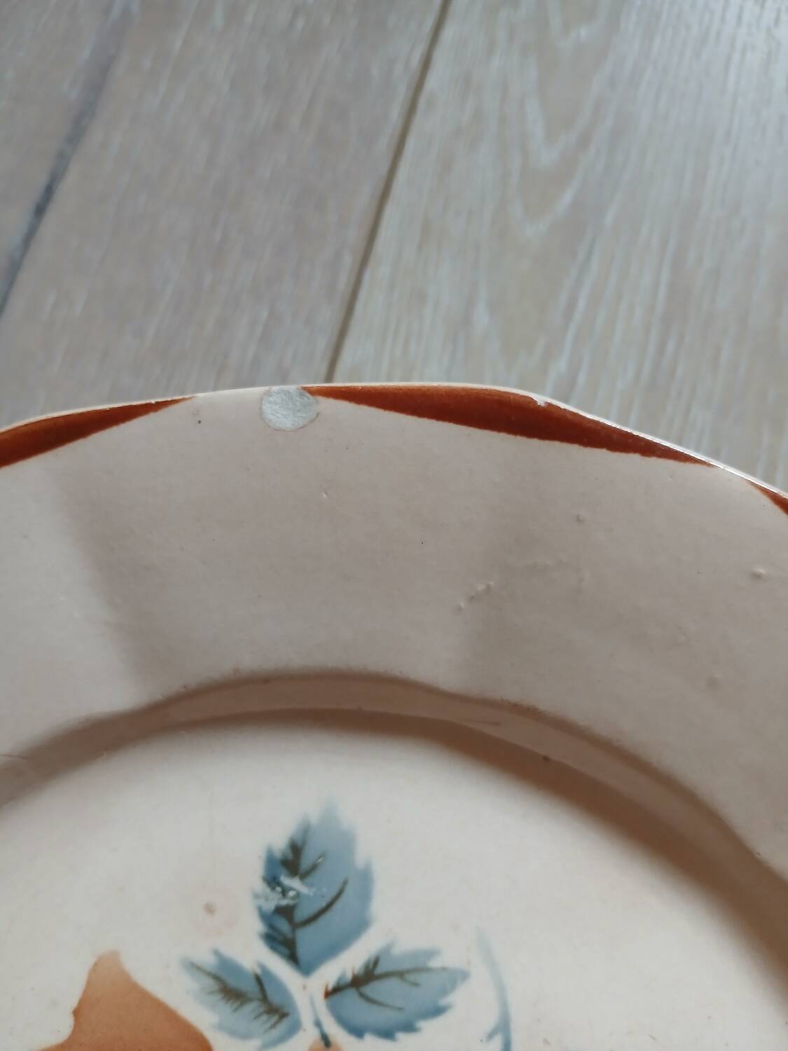 25 old Digoin and Sarreguemines plates