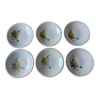 Lot 6 hollow plates Gien autumn pattern