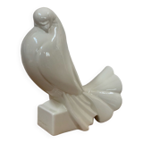 Pigeon Adnet