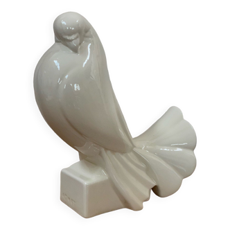 Pigeon Adnet