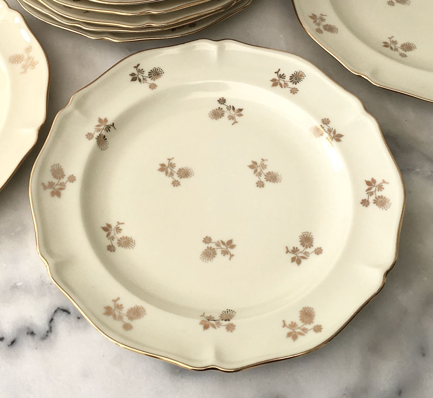 Set of 11 flat plates porcelain from Limoges