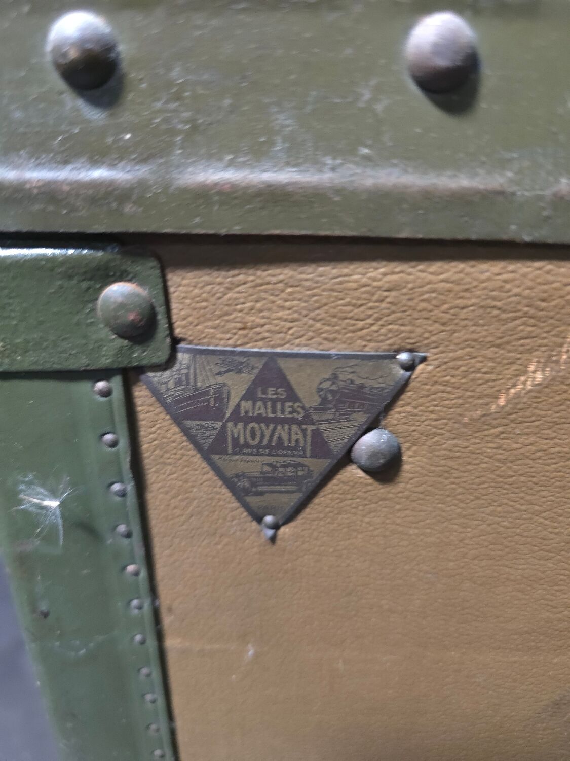 Moynat Paris travel trunk from the early 20th century.