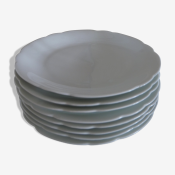 8 assiettes plates Alfred Hache & C°-V-  Porcelaine Blanche