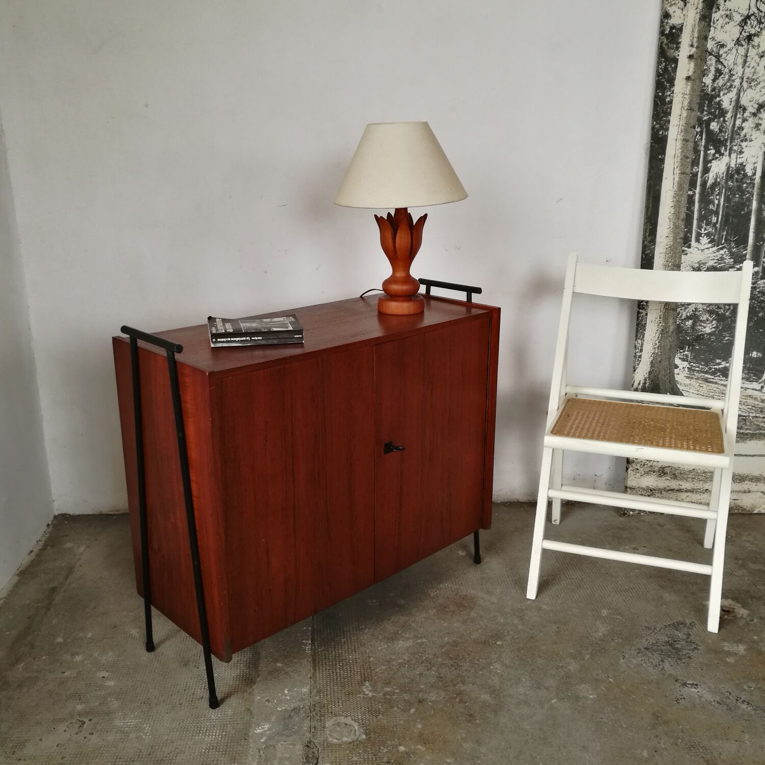 Scandinavian sideboard 2 teak doors, ladder base