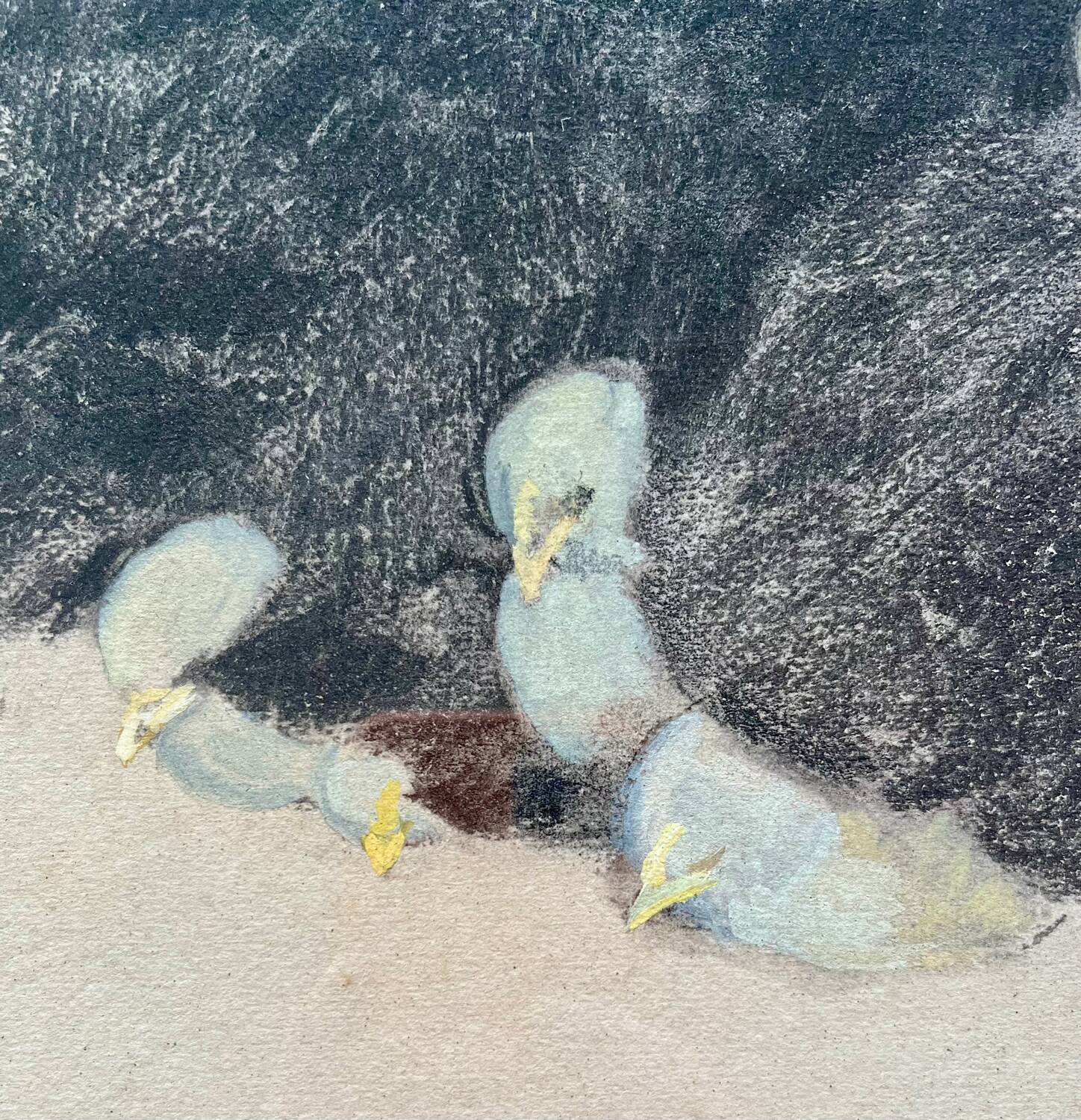 Black hen and her chicks, pastel on paper signed Hélène Rivière