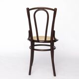 Fischel Bentwood Chair – Early 20th Century Beechwood Frame w