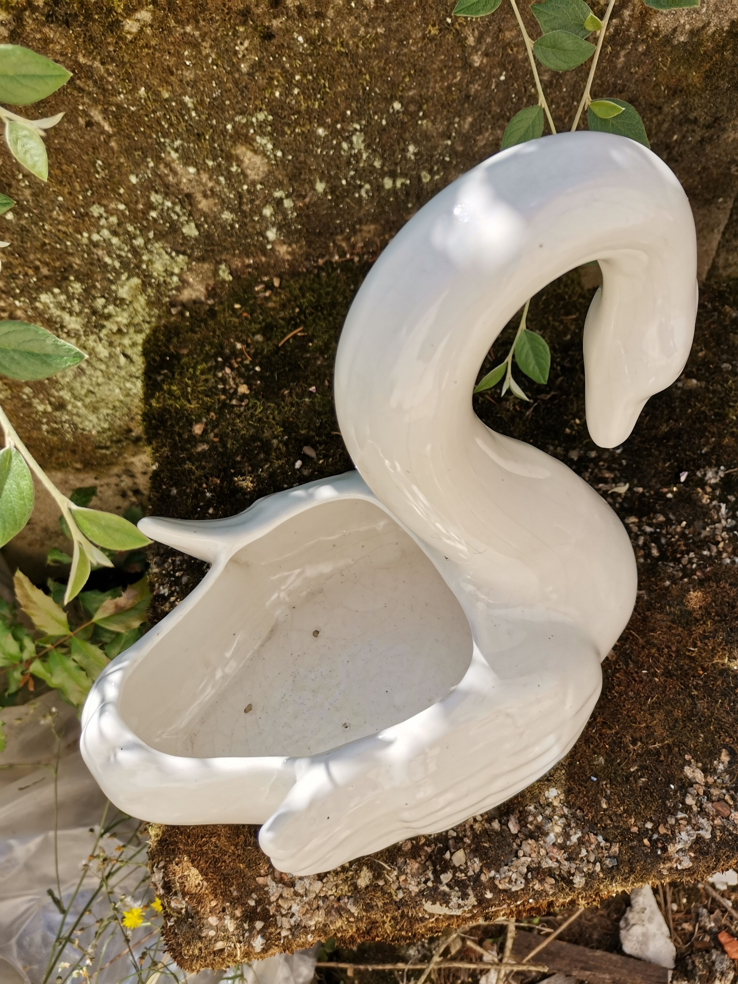 Swan hide-pot