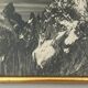 Old artistic photo in black and white Mountain Golden frame