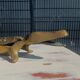 bronze crocodile ashtray 35 cm