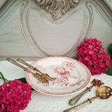 Antique mounted plate in ironstone earthenware.