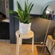 Tripod stool stamp Henry Massonet