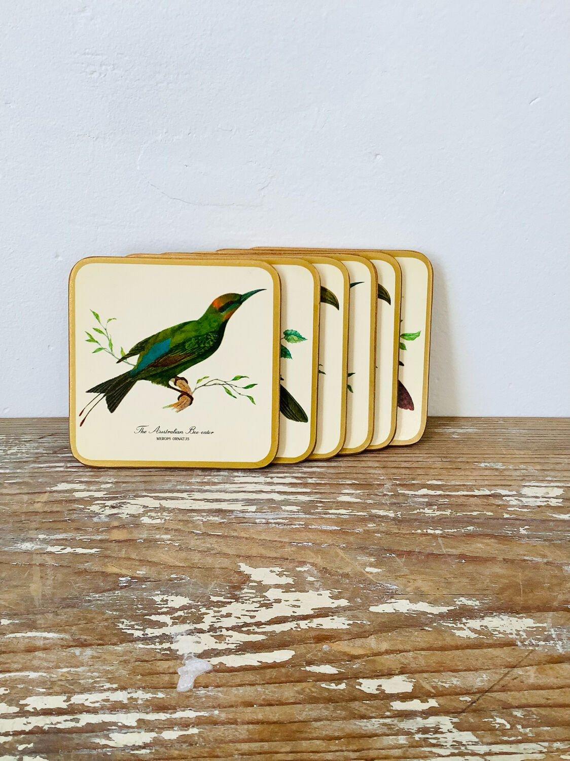 Box of 6 coasters bird motif