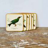 Box of 6 coasters bird motif