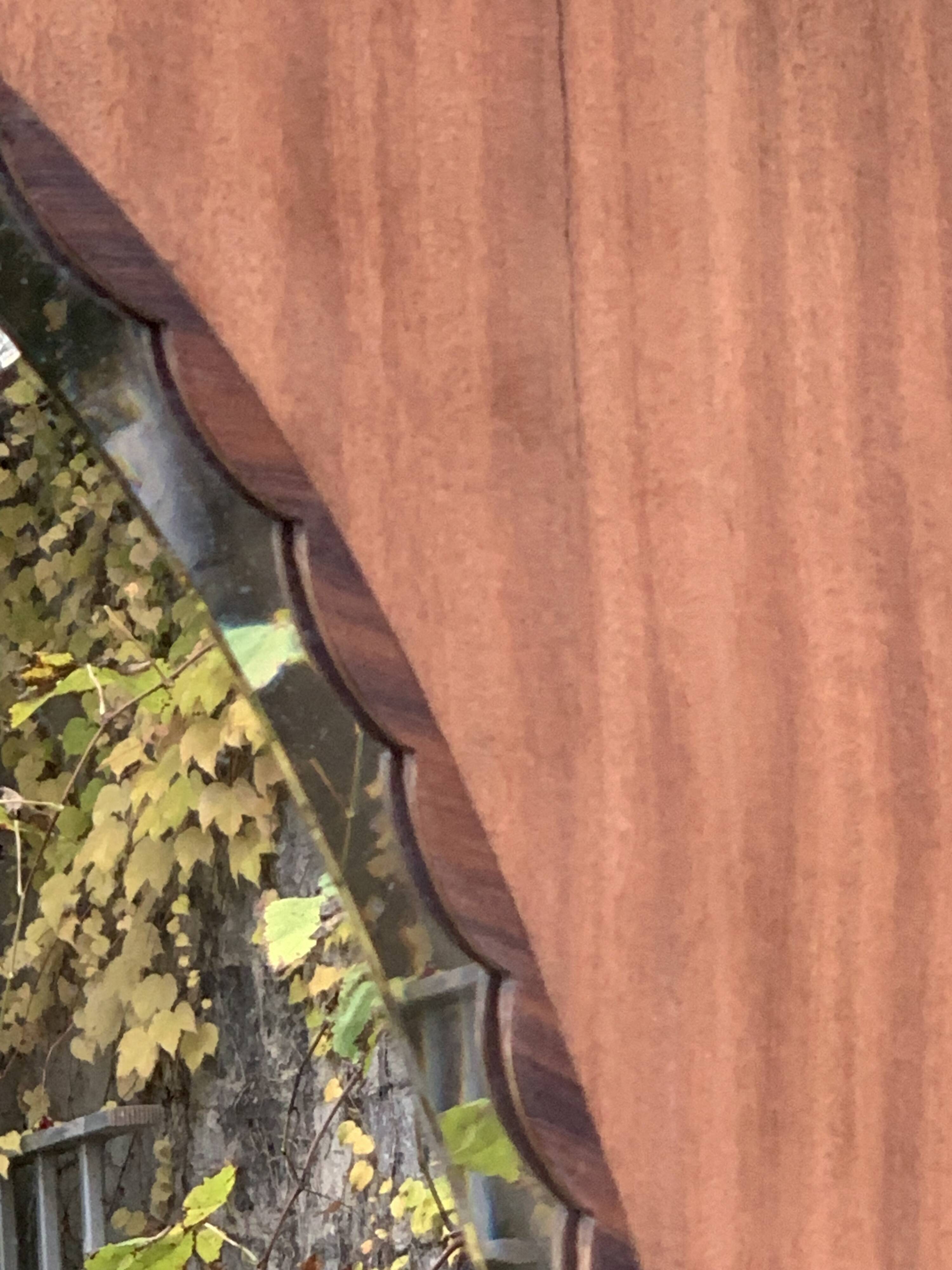 Beveled oval mirror on art deco door Mahogany 79x162