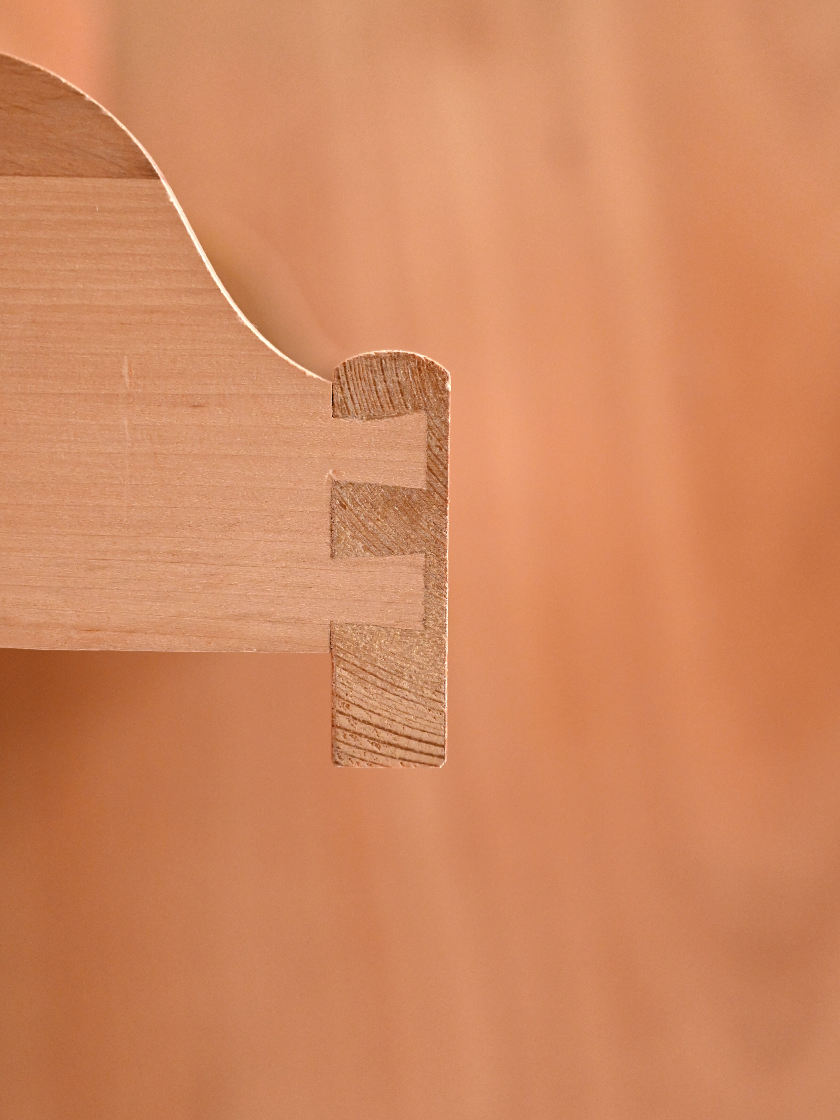 Scandinavian bookcase with pull-out desk