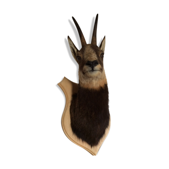 Chamois Trophy