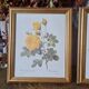 2 paintings with period lithographed flowers and gilded wooden frame.