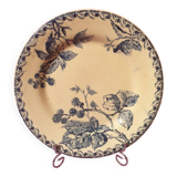 Assiette ancienne porcelaine opaque de Gien
