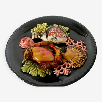Fish slushie plate