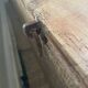 Wooden chest