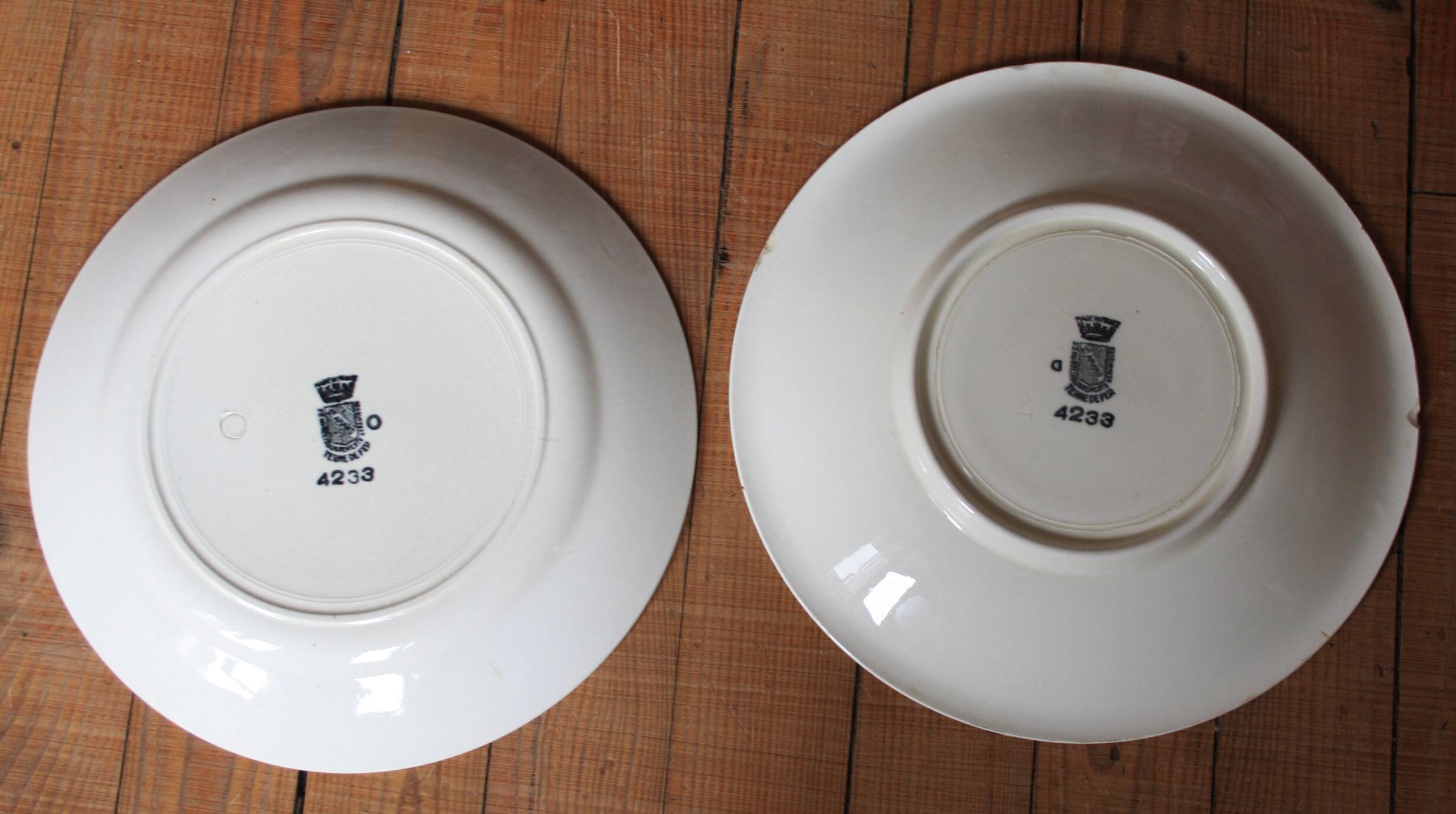 set of 2 dishes/large plates St Amand Terre de Fer "cherry"