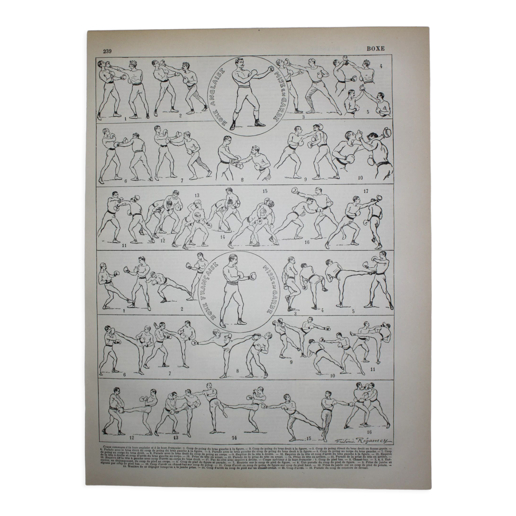 Engraving • Boxing, technique, combat sport • Original lithograph from 1898
