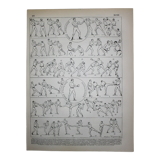 Engraving • Boxing, technique, combat sport • Original lithograph from 1898