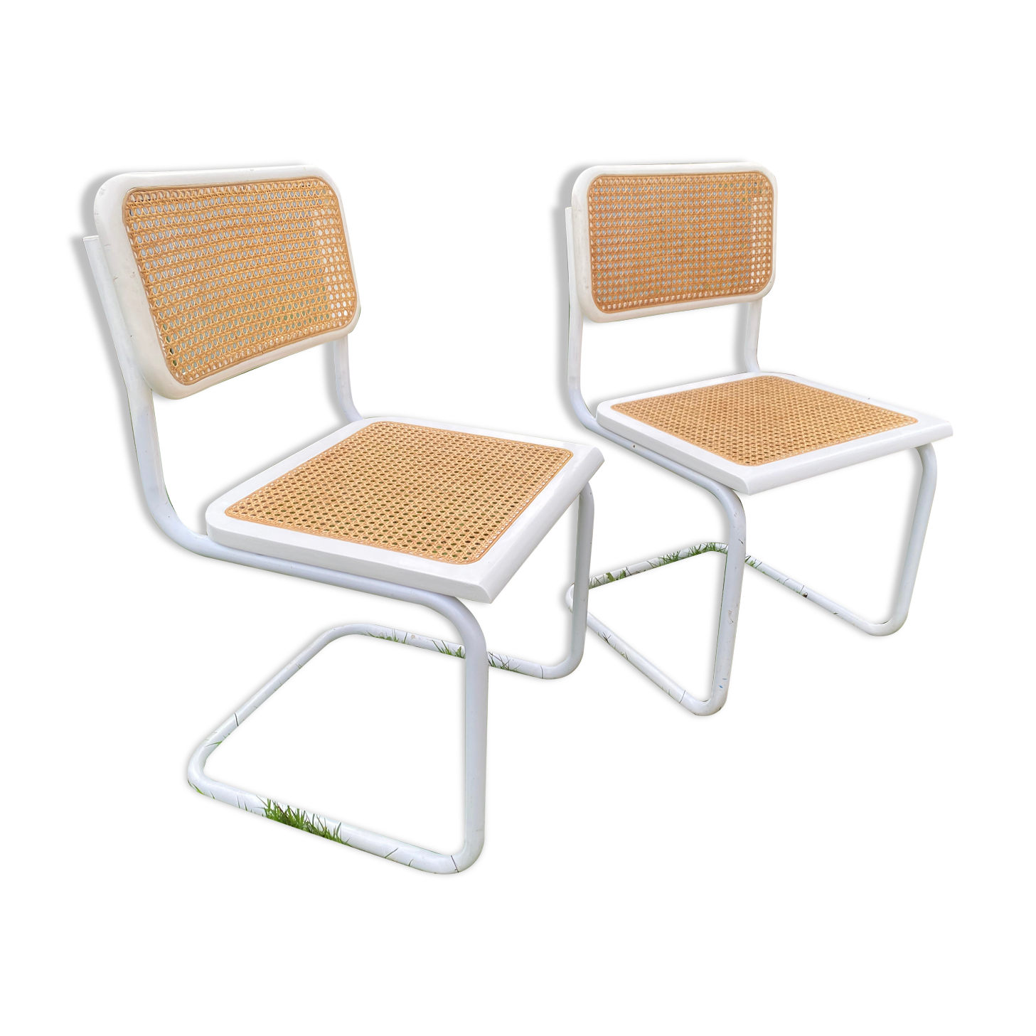 White cescas chairs