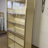 Vintage library display case