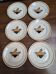 Badonviller "jade" dinner plates