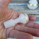 Portieux Vallerysthal old flask in white opaline and gold 1900