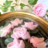 Oval frame domed glass curved roses