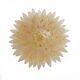 Barovier & Toso Style Gold-Palmette Murano Glass Pendant Chandelier