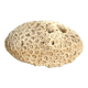 White coral