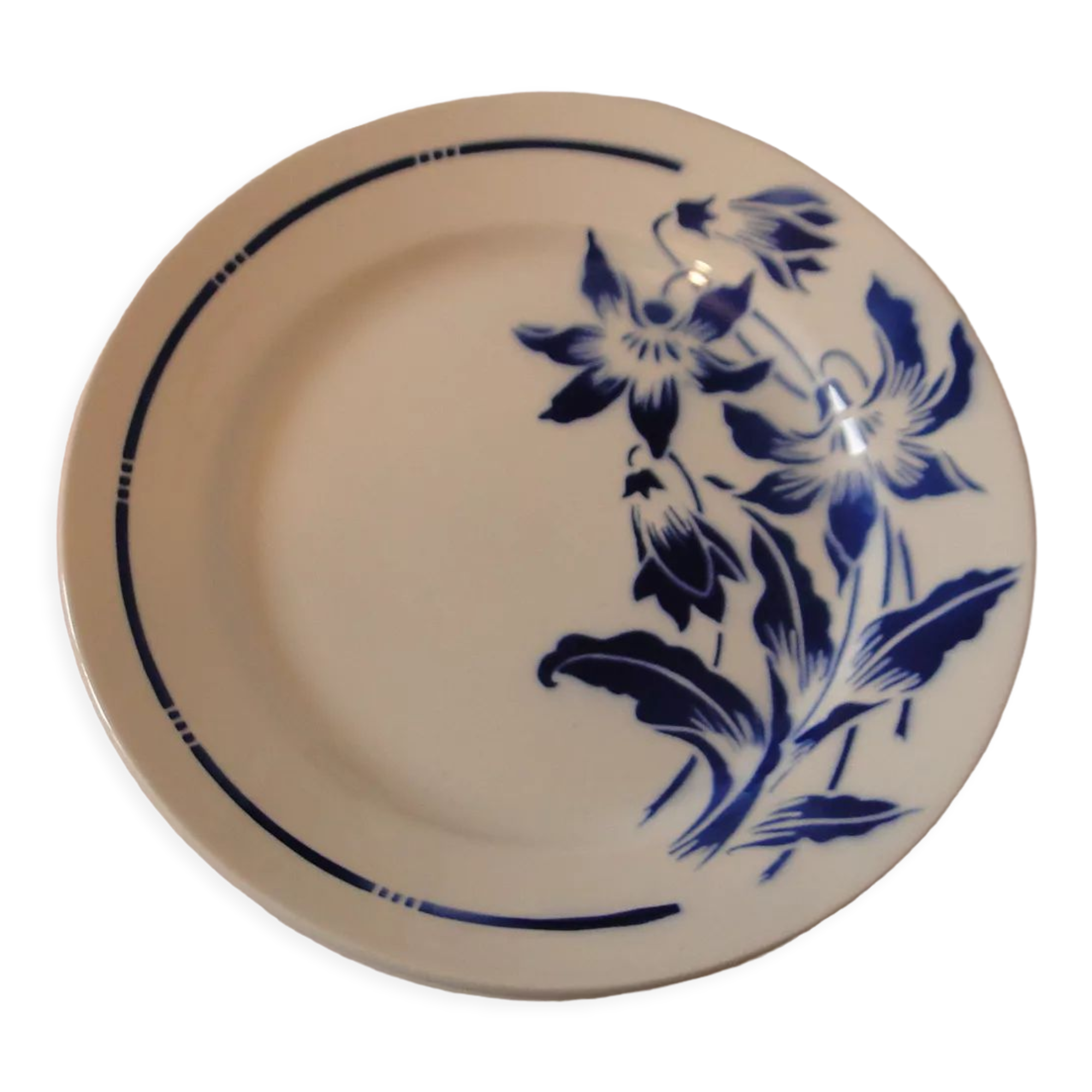 Lot 8 flat plates badonvillersflora model