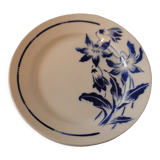 Lot 8 flat plates badonvillersflora model