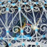 Old Bird Cage Sidi Bou Said