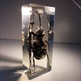 Authentic Japanese Rhinoceros Beetle in resin inclusion