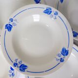 5 Roselys deep plates, vine pattern