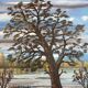 Lake landscape, Vendée marshes, oil on canvas signed Guy Charles