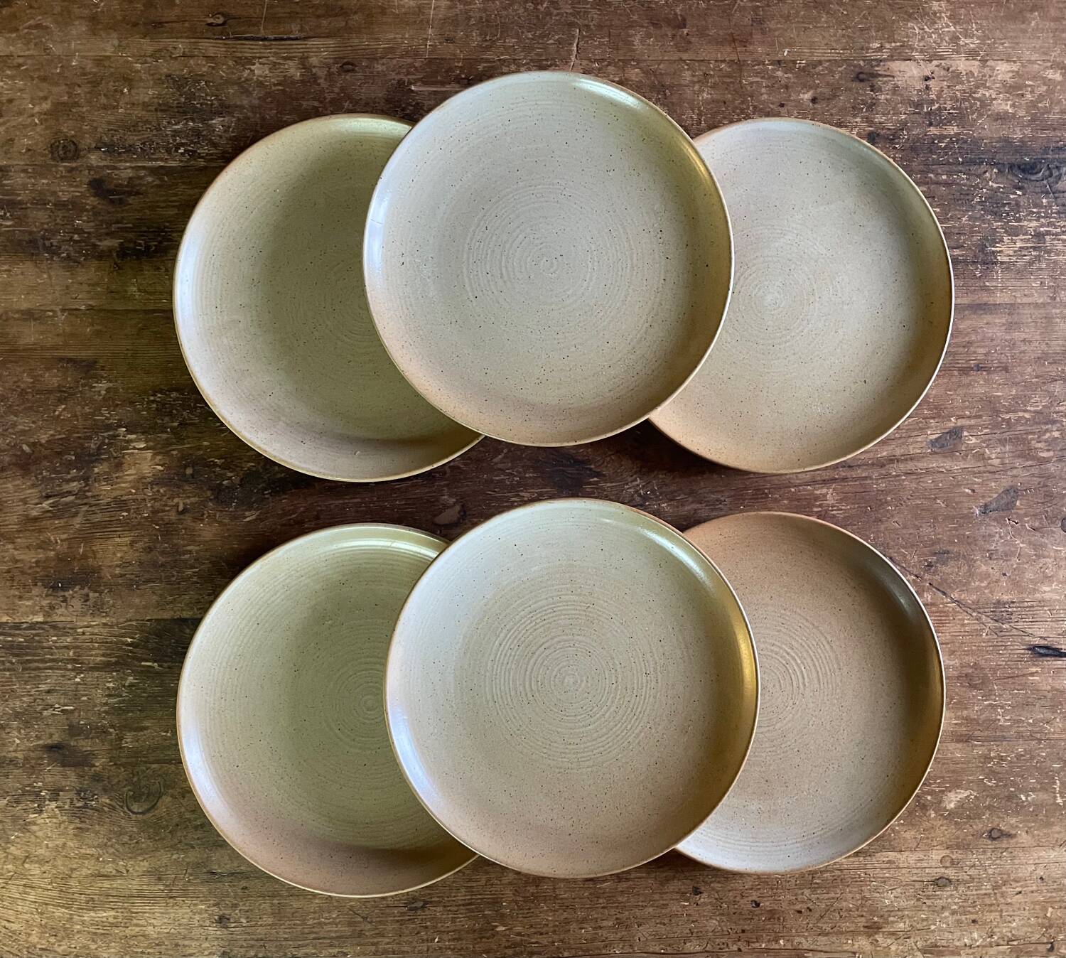 Assiettes plates en grès CNP