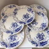 Ironstone plate Creil and Montereau primrose decoration 19th century