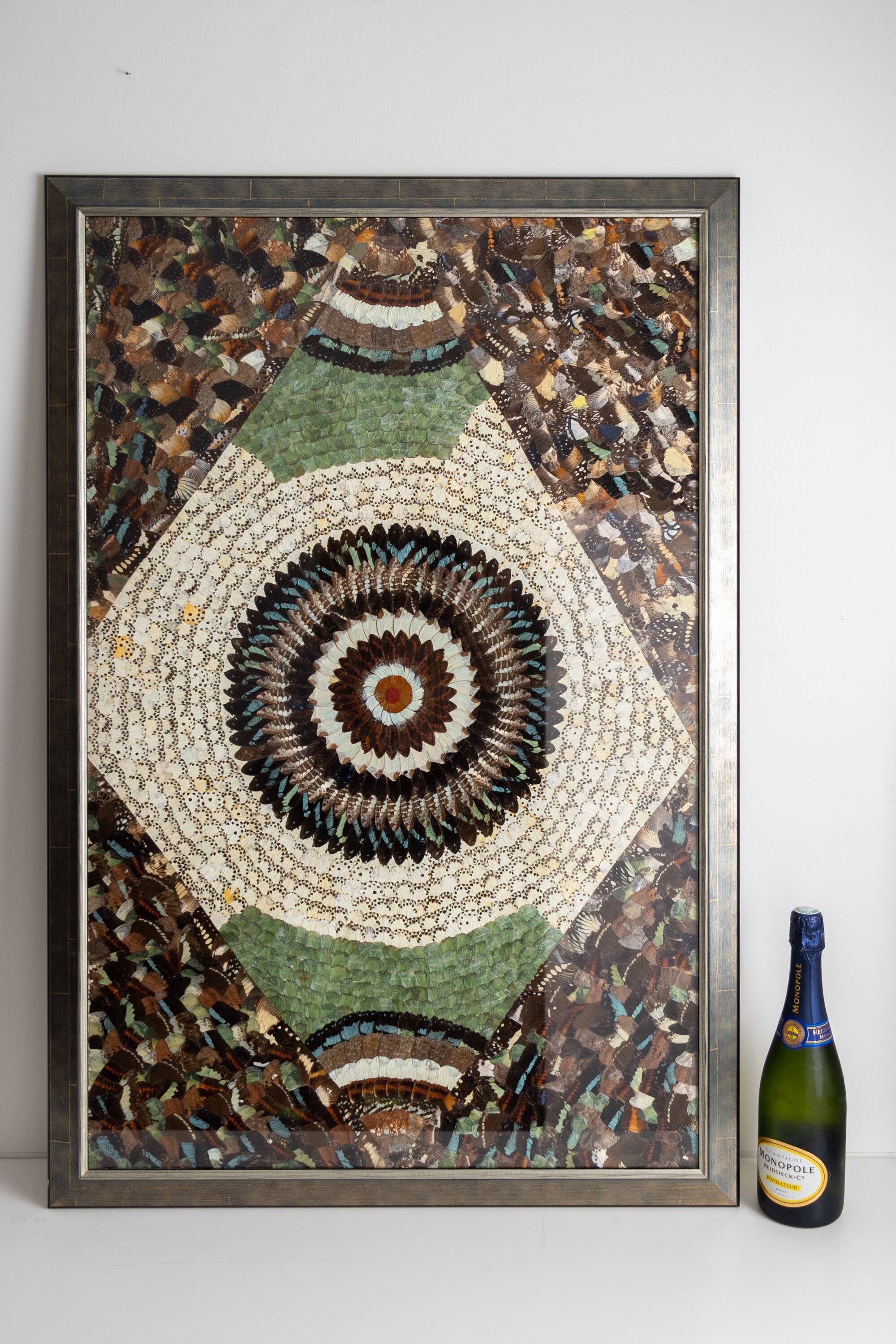 collage in XXL butterfly wings