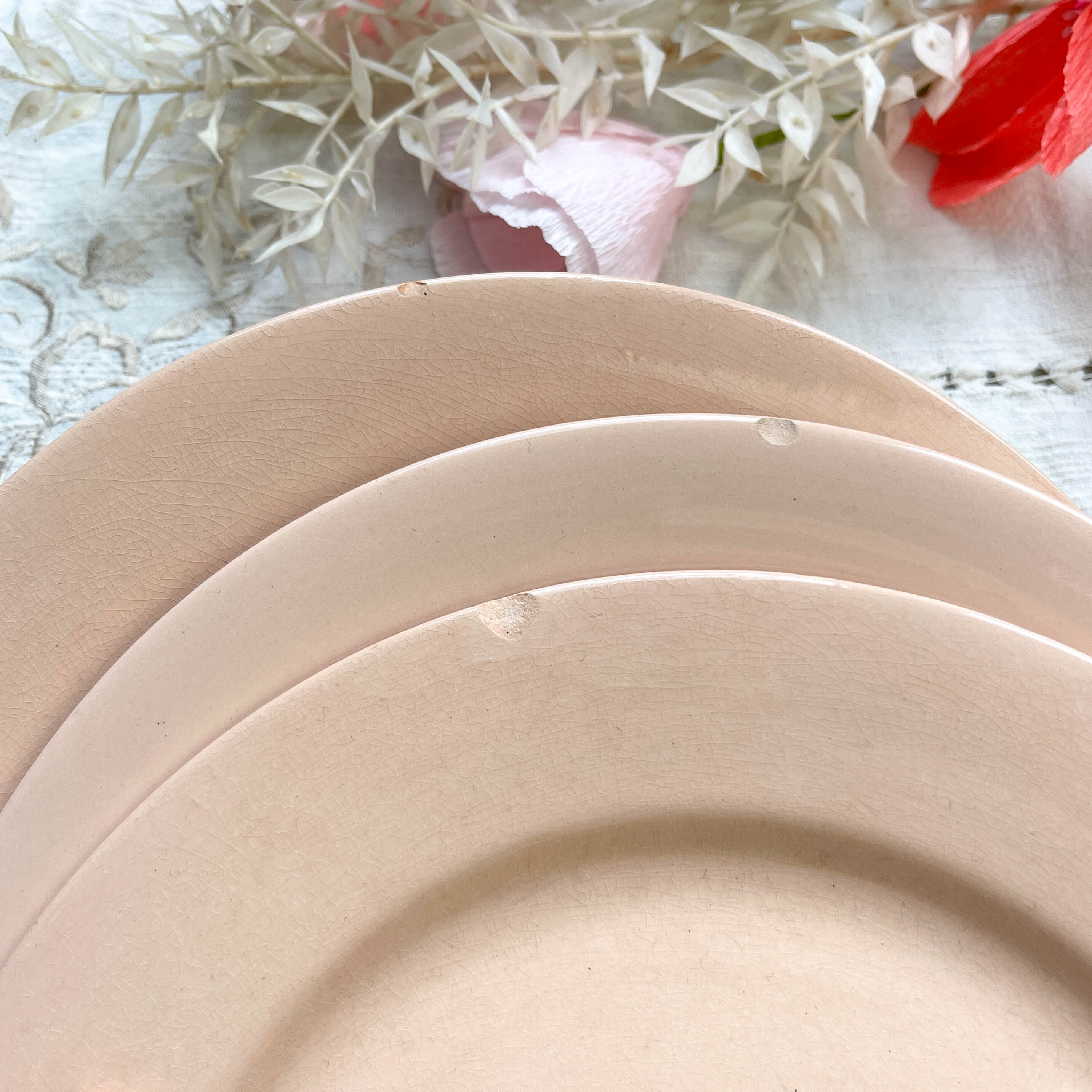 7 Flat plates Rose Digoin Sarreguemines