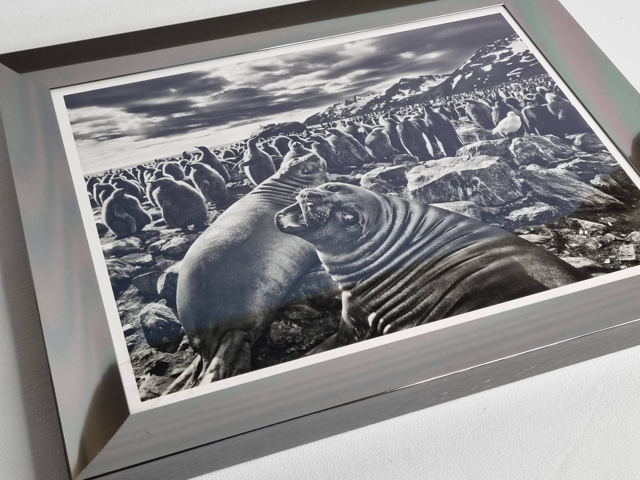 Offset edition in black and white "Genesis" after Sebastião Salgado, framed under glass, 30 x 38 cm